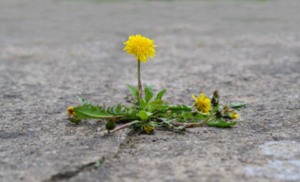 Was ist Psychotherapie – und was nicht?