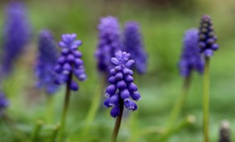 Blogbeitrag08