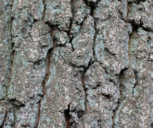 Gedanken als Selbstregulation – ein Gedanke über Gedanken