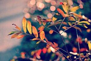 Depression – Krankheit oder Symptom?