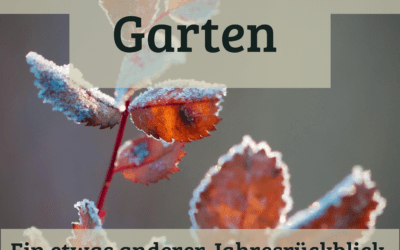 Ein etwas anderer Jahresrückblick