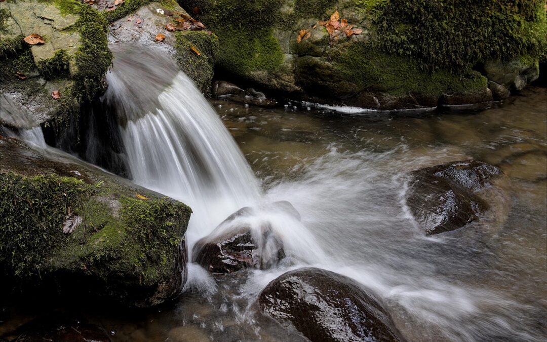 Burnout: Wenn die Energie versiegt – erkennen, verstehen, handeln