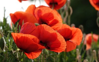 3 Dinge, die dein Nervensystem nicht braucht