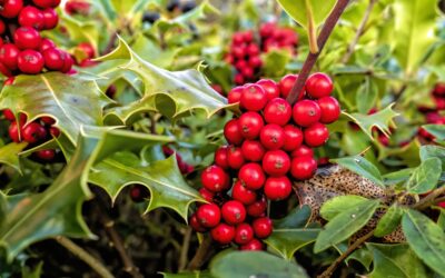 Grenzen setzen: Warum Nein sagen so schwer ist – und wie es gelingt