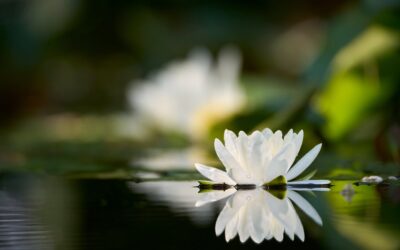 Warum Meditation nicht für jeden entspannend ist