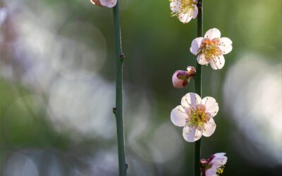 Warum Psychotherapie Zeit braucht