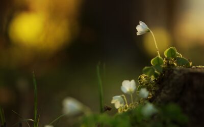 Innere Leere: Das schwere Nichts
